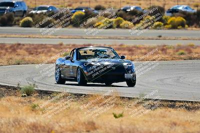 media/Nov-16-2024-Extreme Speed (Sat) [[6587d07cc4]]/Gold Group/Session 2 (Turns 3 and 5)/